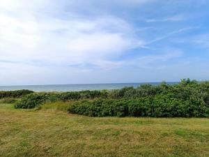 a field of grass with the ocean in the background at 6 person holiday home in Glesborg-By Traum in Fjellerup