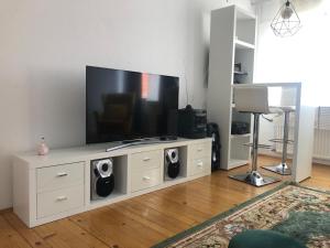 TV a/nebo společenská místnost v ubytování Guest House Kragujevac