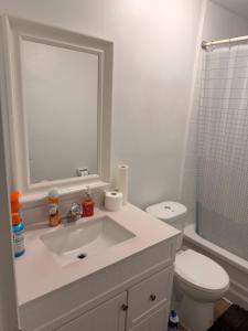 een badkamer met een wastafel, een toilet en een spiegel bij Modern Suite, 1 Guest Room in St. Catharines +20 foto's