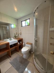 a bathroom with a toilet and a shower and a sink at Mana Make Make in Hanga Roa +145 photos