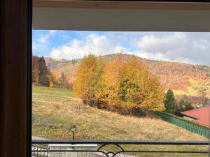a window with a view of a field and trees at Bella Monte in Szczyrk