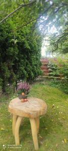 a small wooden table with a potted plant on it at Noclegi W Sadzie in Rajcza +3 photos