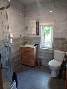 a bathroom with a toilet and a sink and a shower at Noclegi W Sadzie in Rajcza