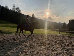 Hosté ubytování Vordersattlegghofhütte