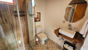 een badkamer met toilet, wastafel en douche bij Le Ville - Chalé 1 in Campos do Jordão