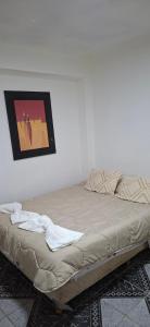 a bed in a room with a picture on the wall at Apart Brumato in Catriel