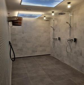 un baño con ducha con cabezal de ducha en Design-Apartment am Plöner See, en Ascheberg