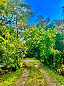 a dirt road in a yard with trees and a house at Tropical Jungle Bugelow in Naples