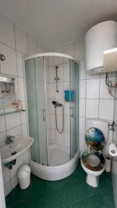 un bagno con doccia, WC e lavandino di Phoenix a Peroj