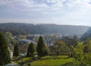 vista su una città alberata e su un lago di Albferienhaus Schaette a Giengen an der Brenz