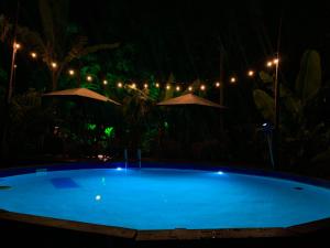 Bazén v ubytování Los Bananos - Tiny Wood Cabin nebo v jeho okolí