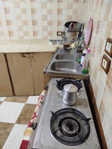 Η κουζίνα ή μικρή κουζίνα στο Luna Nile +26 φωτογραφίες