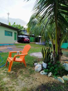 En have udenfor Hostal Las Flores + 30 billeder