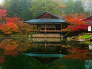 a gazebo in the middle of a pond at Holiday home in the heart of Hasselt in Hasselt