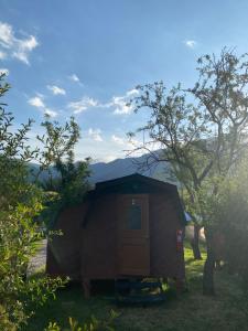 a small shack with a door in the grass at Cabañas del Maipo in Peumos