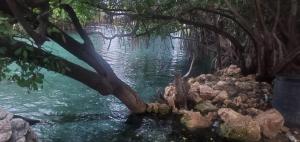 Φωτογραφία από το άλμπουμ του Dev place σε Lennansville