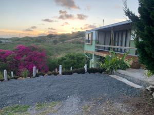 Phong cảnh thiên nhiên gần nhà gỗ