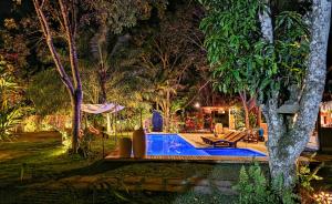 a swimming pool in a garden at night at Villa Cacau - Floresta in Trancoso +67 photos
