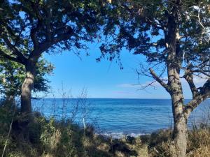 Φωτογραφία από το άλμπουμ του Coucher de soleil σε Bouillante