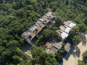 Tulum Villa 2 albercas 4hab hasta 16 personas 10min playa في تولوم: إطلالة علوية على منزل في الغابة