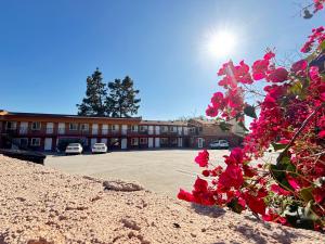 a building with a parking lot and a bunch of flowers at Economy Inn - Burbank Airport in Sun Valley