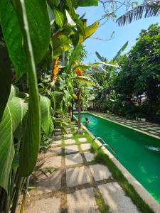 a river with a bunch of plants next to it at Mantra Yoga Homestay in Tanjung +17 photos