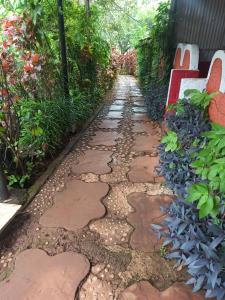 a walkway with a bench and some plants at Strawberry Country in Mahabaleshwar