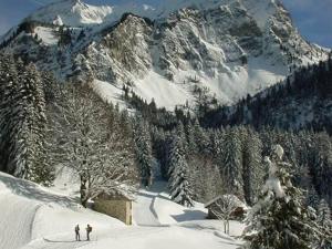Zwei Leute fahren einen schneebedeckten Berg hinunter in der Unterkunft Studio cosy à St Jean d'Aulps, au pied des pistes - FR-1-573-146 in Saint-Jean-dʼAulps