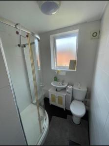 a bathroom with a shower and a toilet and a sink at Flat 9 Haden in Wolverhampton