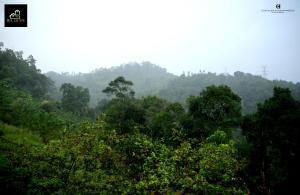 Φυσικό τοπίο κοντά σε αυτή η παραθεριστική κατοικία