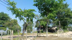 Imagen de la galería de Casa Praia Funda Cotijuba Cotijuba Deep Beach House, en Belém