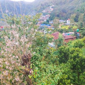 Φυσικό τοπίο κοντά σε αυτό το ξενοδοχείο