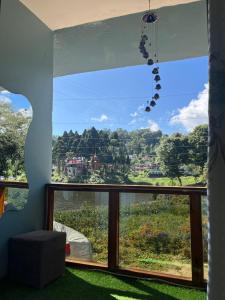 Příroda nedaleko ubytování v soukromí