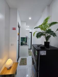 een keuken met een plant bovenop een koelkast bij Hea Apartment in Hanoi