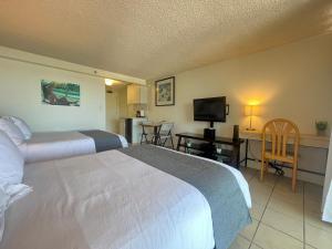 une chambre d'hôtel avec un lit et une télévision dans l'établissement A Homie Getaway! Double Bed Studio with a VIEW, à Honolulu