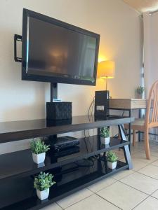 un téléviseur à écran plat sur un centre de divertissement avec des plantes en pot dans l'établissement A Homie Getaway! Double Bed Studio with a VIEW, à Honolulu 20 autres photos