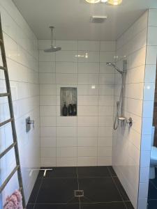 ein Bad mit einer Dusche mit einer Leiter in der Unterkunft Cable Bay Seaview Beauty in Cable Bay + 84 Fotos