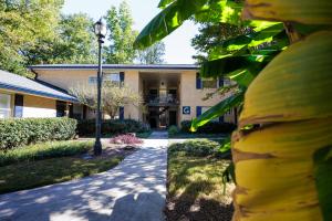 a building with a banana tree in front of it at Stylish Stay in the Heart of Decatur King Bed in Decatur
