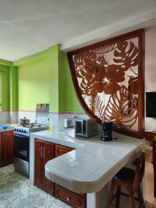 Kuchyň nebo kuchyňský kout v ubytování Departamento Puyo Fantastic.