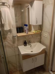 Ένα μπάνιο στο Rostomaant Marani Family Winery Guest House, Telavi