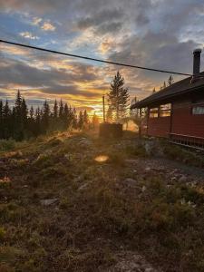 Gallery image of Tree House Amidst The Tranquillity Of The Forest in Ålset