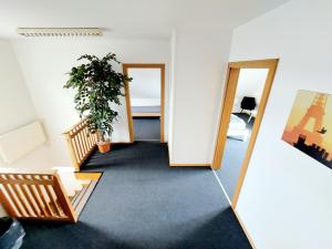 a room with two doors and a potted plant at Guesthouse Graz Central for 9 People in Graz +5 photos