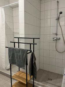 Un baño con ducha y toalla. en M&K Homes Unterkunft bei Lübeck, en Selmsdorf