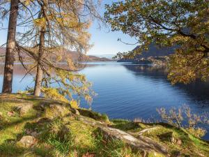 a view of a lake with trees on the shore at Amber Nook in Tirril +2 photos