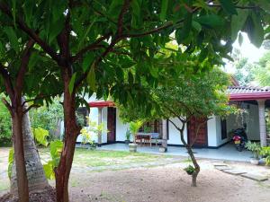 a house with trees in front of it at The Onisula Guest House in Ahangama +15 photos