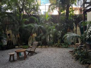 Κήπος έξω από το La punta surfhouse