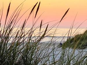 a beach with tall grass and the ocean in the background at 5 person holiday home in Henne-By Traum in Henne Strand