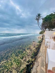 a beach with chairs and a palm tree and the ocean at Noa Sands By Ceylon Vistas in Talpe