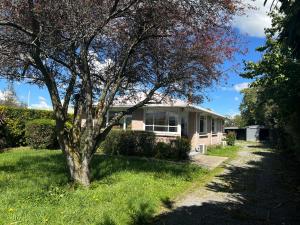a house with a tree in the grass at Darfield Hotel Apartment Home in Darfield