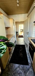 クレムス・アン・デア・ドナウにあるOase Krems - Perle der Wachauの白いキャビネットとコンロ付きオーブンを備えたキッチン